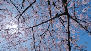 From video 4